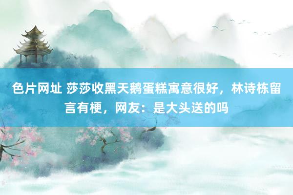 色片网址 莎莎收黑天鹅蛋糕寓意很好，林诗栋留言有梗，网友：是大头送的吗