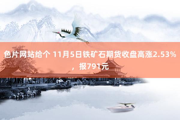 色片网站给个 11月5日铁矿石期货收盘高涨2.53%，报791元