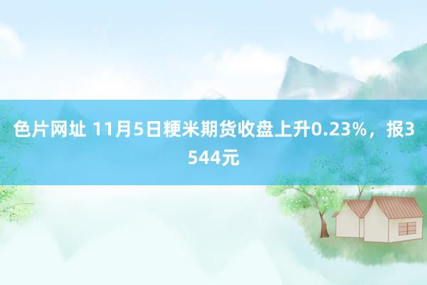 色片网址 11月5日粳米期货收盘上升0.23%，报3544元