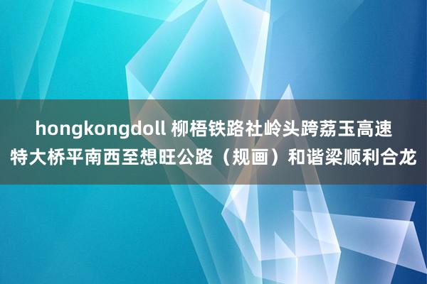 hongkongdoll 柳梧铁路社岭头跨荔玉高速特大桥平南西至想旺公路（规画）和谐梁顺利合龙