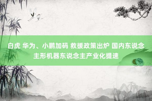 白虎 华为、小鹏加码 救援政策出炉 国内东说念主形机器东说念主产业化提速