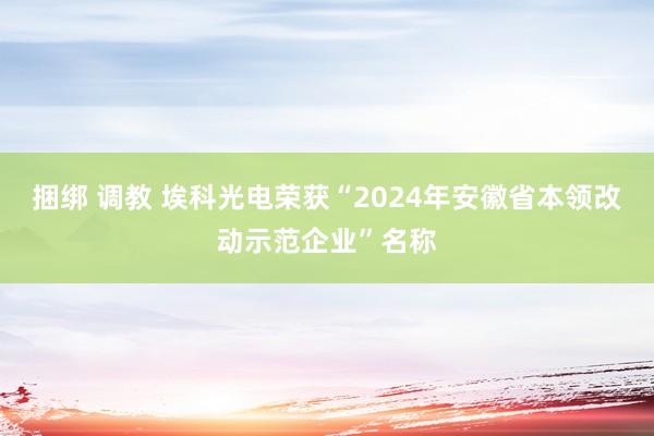 捆绑 调教 埃科光电荣获“2024年安徽省本领改动示范企业”名称