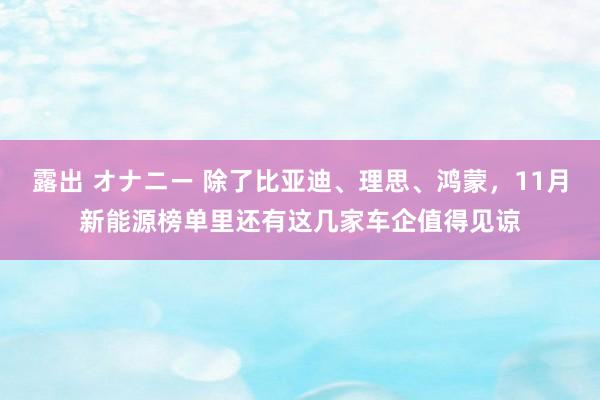 露出 オナニー 除了比亚迪、理思、鸿蒙，11月新能源榜单里还有这几家车企值得见谅