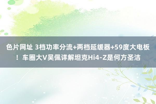 色片网址 3档功率分流+两档延缓器+59度大电板！车圈大V吴佩详解坦克Hi4-Z是何方圣洁