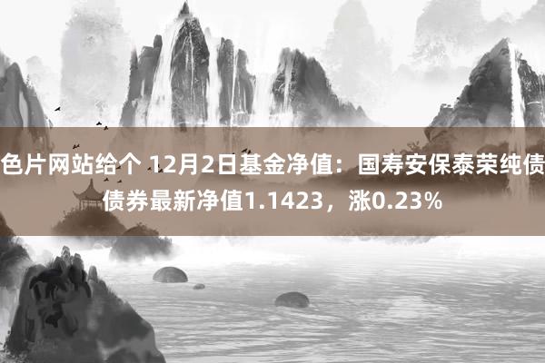 色片网站给个 12月2日基金净值：国寿安保泰荣纯债债券最新净值1.1423，涨0.23%