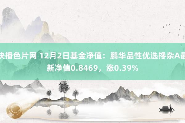 快播色片网 12月2日基金净值：鹏华品性优选搀杂A最新净值0.8469，涨0.39%