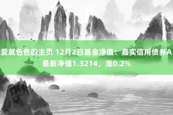 爱就色色的主页 12月2日基金净值：嘉实信用债券A最新净值1.3214，涨0.2%