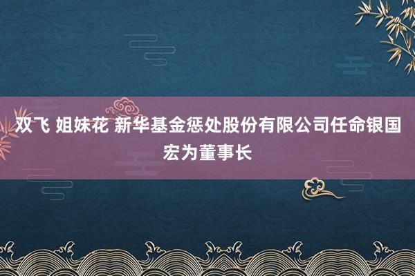 双飞 姐妹花 新华基金惩处股份有限公司任命银国宏为董事长