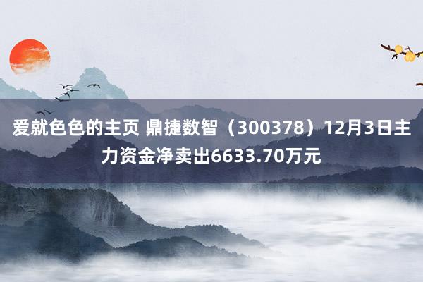 爱就色色的主页 鼎捷数智（300378）12月3日主力资金净卖出6633.70万元