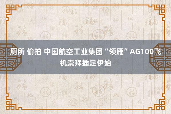 厕所 偷拍 中国航空工业集团“领雁”AG100飞机崇拜插足伊始