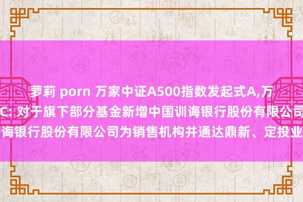 萝莉 porn 万家中证A500指数发起式A，万家中证A500指数发起式C: 对于旗下部分基金新增中国训诲银行股份有限公司为销售机构并通达鼎新、定投业务的公告