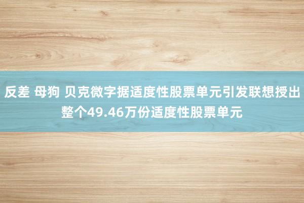 反差 母狗 贝克微字据适度性股票单元引发联想授出整个49.46万份适度性股票单元