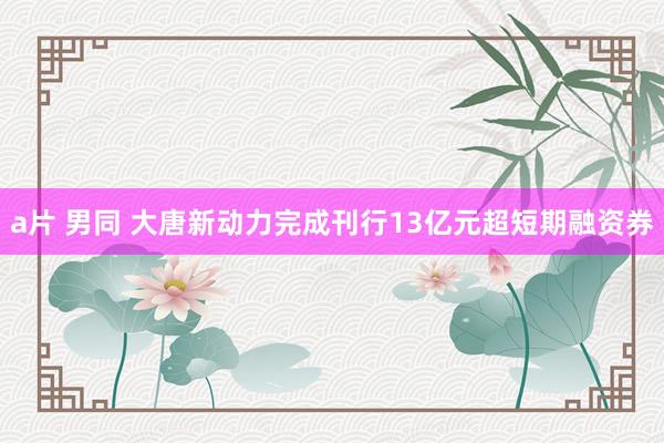 a片 男同 大唐新动力完成刊行13亿元超短期融资券