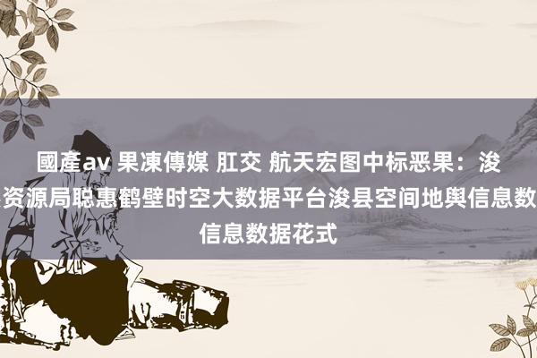 國產av 果凍傳媒 肛交 航天宏图中标恶果：浚县当然资源局聪惠鹤壁时空大数据平台浚县空间地舆信息数据花式