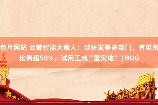 色片网站 云鲸智能大裁人：涉研发等多部门，有组别比例超50%，试用工成“重灾地” | BUG