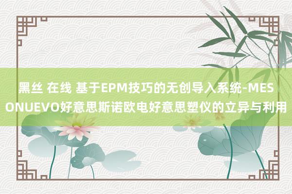 黑丝 在线 基于EPM技巧的无创导入系统-MESONUEVO好意思斯诺欧电好意思塑仪的立异与利用