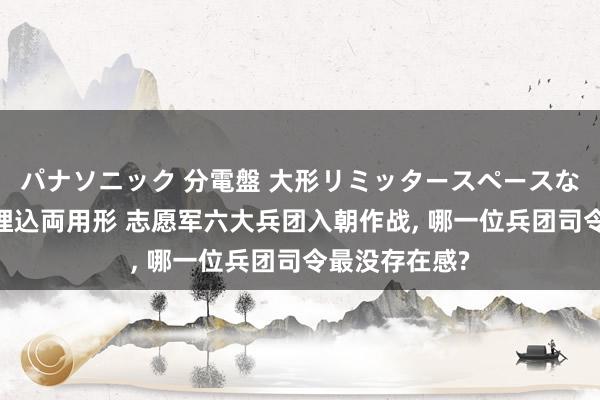 パナソニック 分電盤 大形リミッタースペースなし 露出・半埋込両用形 志愿军六大兵团入朝作战， 哪一位兵团司令最没存在感?