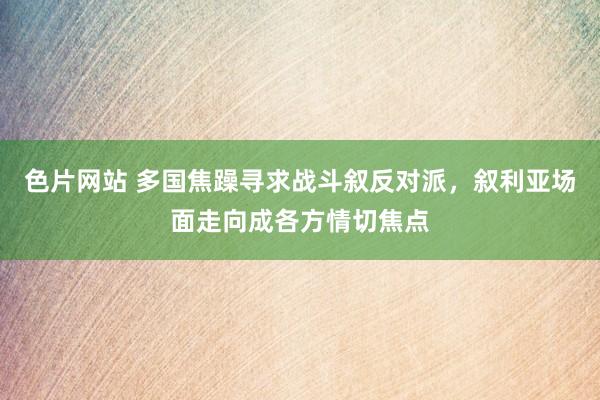 色片网站 多国焦躁寻求战斗叙反对派，叙利亚场面走向成各方情切焦点