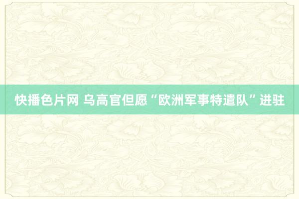 快播色片网 乌高官但愿“欧洲军事特遣队”进驻