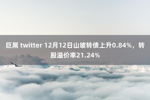 巨屌 twitter 12月12日山玻转债上升0.84%，转股溢价率21.24%