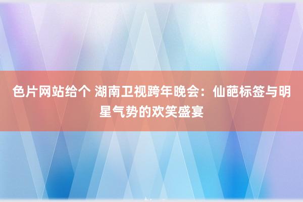 色片网站给个 湖南卫视跨年晚会：仙葩标签与明星气势的欢笑盛宴