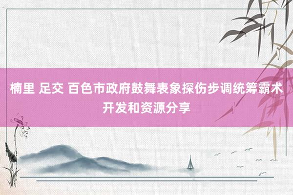 楠里 足交 百色市政府鼓舞表象探伤步调统筹霸术开发和资源分享