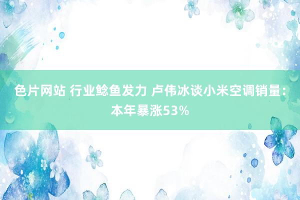 色片网站 行业鲶鱼发力 卢伟冰谈小米空调销量：本年暴涨53%