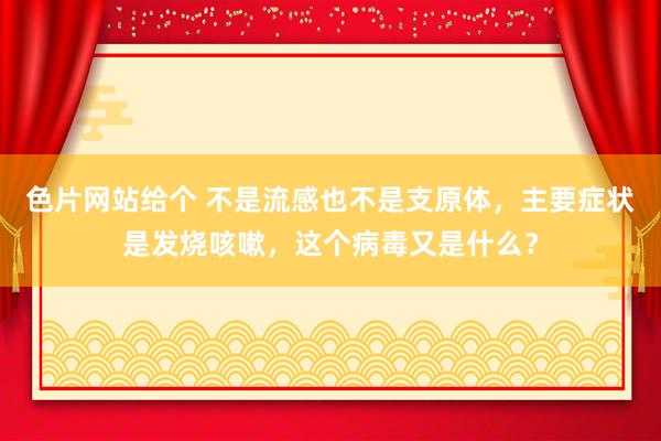 色片网站给个 不是流感也不是支原体，主要症状是发烧咳嗽，这个病毒又是什么？