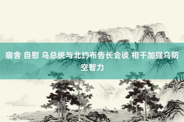 宿舍 自慰 乌总统与北约布告长会谈 相干加强乌防空智力