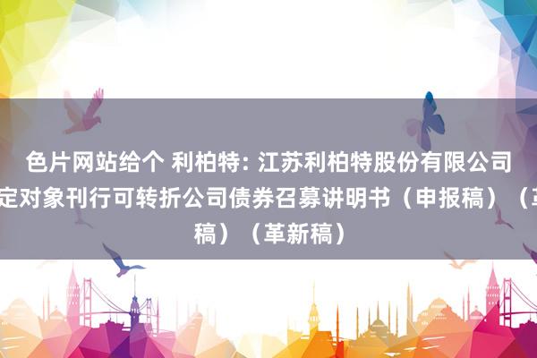 色片网站给个 利柏特: 江苏利柏特股份有限公司向不特定对象刊行可转折公司债券召募讲明书（申报稿）（革新稿）