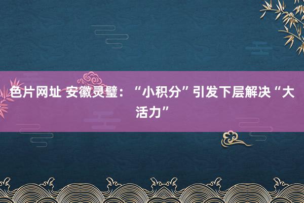 色片网址 安徽灵璧：“小积分”引发下层解决“大活力”