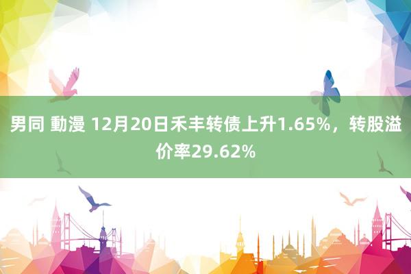 男同 動漫 12月20日禾丰转债上升1.65%，转股溢价率29.62%