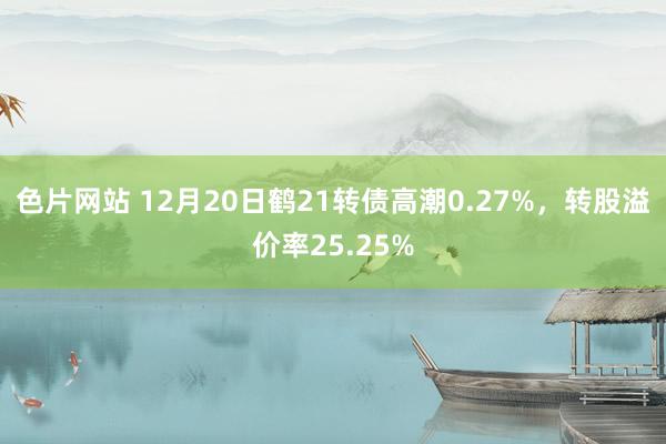 色片网站 12月20日鹤21转债高潮0.27%，转股溢价率25.25%