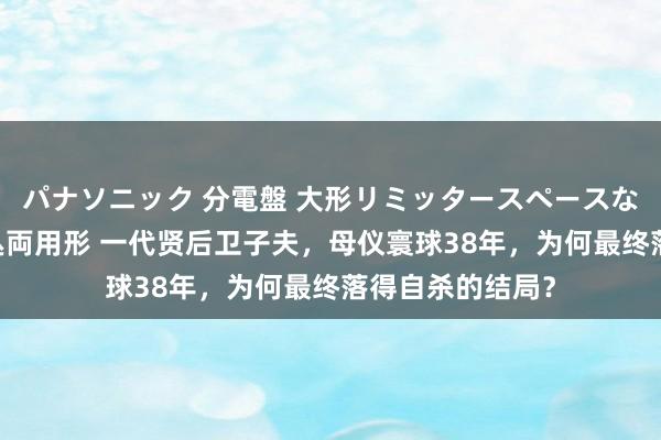 パナソニック 分電盤 大形リミッタースペースなし 露出・半埋込両用形 一代贤后卫子夫，母仪寰球38年，为何最终落得自杀的结局？