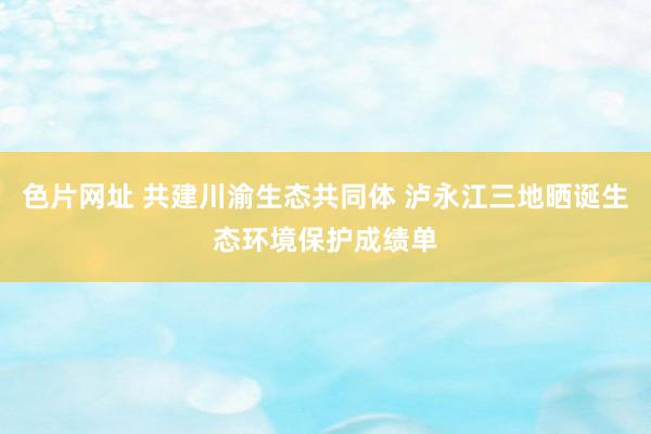 色片网址 共建川渝生态共同体 泸永江三地晒诞生态环境保护成绩单