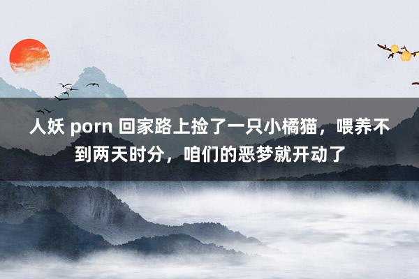 人妖 porn 回家路上捡了一只小橘猫，喂养不到两天时分，咱们的恶梦就开动了