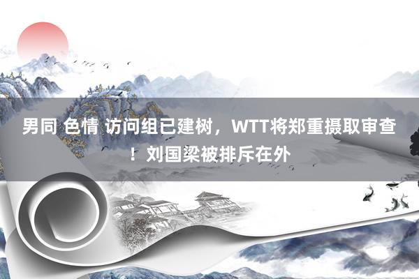 男同 色情 访问组已建树，WTT将郑重摄取审查！刘国梁被排斥在外