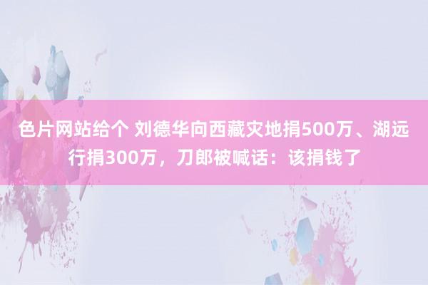 色片网站给个 刘德华向西藏灾地捐500万、湖远行捐300万，刀郎被喊话：该捐钱了