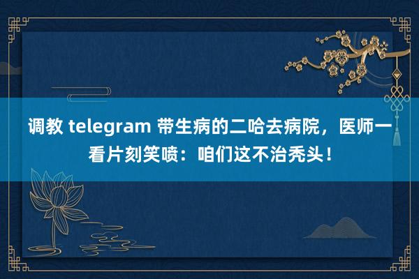 调教 telegram 带生病的二哈去病院，医师一看片刻笑喷：咱们这不治秃头！