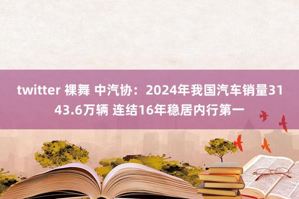 twitter 裸舞 中汽协：2024年我国汽车销量3143.6万辆 连结16年稳居内行第一