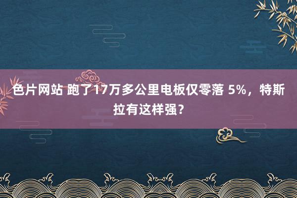 色片网站 跑了17万多公里电板仅零落 5%，特斯拉有这样强？