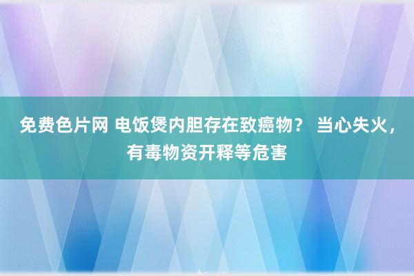 免费色片网 电饭煲内胆存在致癌物？ 当心失火，有毒物资开释等危害